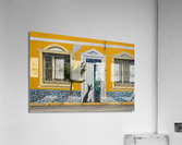 Wall mural on building in Punta Arenas in Chile Impression acrylique