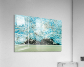 Amalia Glacier towers over large rocks and trees in Patagonia Acrylic Print