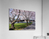 Ruby Amphitheater by walking trail  by the river in Morgantown W Acrylic Print