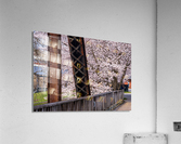 Steel girder bridge carries the bike walking trail over Deckers  Acrylic Print