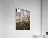 Jogger running on the bike walking trail over Deckers Creek Morg Acrylic Print