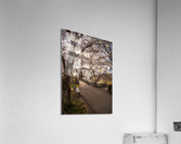 Steel girder bridge carries the bike walking trail over Deckers  Acrylic Print
