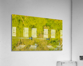 Two ducks floating through reflection of sunlit trees Acrylic Print