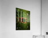 Crim Dell bridge at William and Mary college Acrylic Print