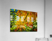 Gorgeous rainbow shower tree blossoms in Hawaii Acrylic Print