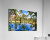 Oil painting of lagoon in the Na Aina Kai sculpture garden Acrylic Print