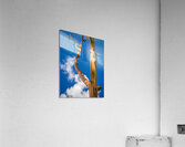 Branch of rainbow eucalyptus trees in Keahua Arboretum Acrylic Print