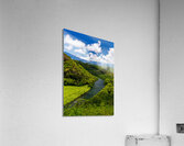 Wailua River bends around a meadow on Kauai Impression acrylique