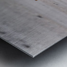 Three Gentoo penguins at Bluff Cove  running on sandy beach Metal print