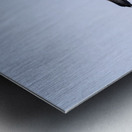 Southern giant petrel flying alongside cruise ship in South Atla Metal print