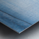 Falkland Steamer duck walking in the surf on Falklands Islands Metal print