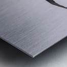 Southern giant petrel flying alongside cruise ship in South Atla Metal print