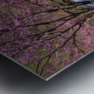 Wooden bench view of Valley Falls on spring morning Metal print