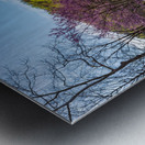 Panorama of Valley Falls WV on a spring morning with bench Metal print