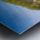 Pathway to spring leaves in Cheat Lake Morgantown WV Impression metal