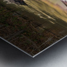 Valley Falls State Park Waterfall in West Virginia Metal print