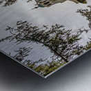 Facade of iconic Stuyvesant Hall at Ohio Wesleyan University Metal print