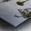 Facade of iconic Stuyvesant Hall at Ohio Wesleyan University Metal print