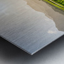 Verdant taro fields thrive under the Hawaiian sun near Hanalei B Impression metal