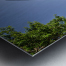 The Republic building in Austin Texas seen through fisheye lens Metal print