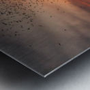 Bats Flying Overhead - Crowd on Congress Avenue bridge Impression metal