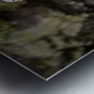 Single puffin on the cliffs in the Skalanes Nature and Heritage  Metal print