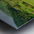 Pair of old hiking boots turned into plant pots with hill walkin Impression metal