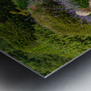 Stone steps into a hedged flower garden on the Isle of Wight Metal print