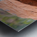 Bighorn sheep lamb grazing among formations in Valley of Fire st Metal print