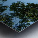 Historic Georgetown Courthouse in the town square in Texas Impression metal