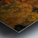 Man in traditional galabia fishing from small boat on river Nile Metal print