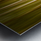 Path through pine trees with intentional camera movement Metal print