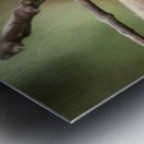 White throated mountaingem hummingbird perched on a twig  in Cos Metal print