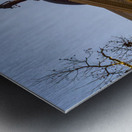 Sunset behind the Courthouse in Georgetown Texas Metal print