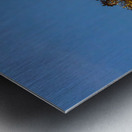 Sunset behind the Old Masonic Lodge in Georgetown Texas Metal print