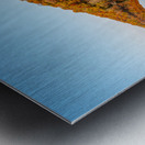 Perfect reflection of autumn leaves in Cheat Lake Metal print