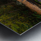 Waterfall on Deckers Creek near Morgantown WV Impression metal