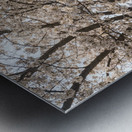 Blossoms by the steel girder bridge carries the bike walking trail Impression metal