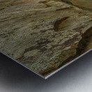 Boardwalk in Audra State Park near Buckhannon in West Virginia Impression metal