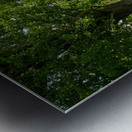 Mansion museum at Oglebay resort near Wheeling WV Metal print