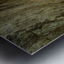 Pathway in Audra State Park near Buckhannon in West Virginia Metal print