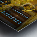 Statue of Athena in Nashville Parthenon Metal print