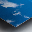 Sea level rise flooding the flowers for butterfly Impression metal