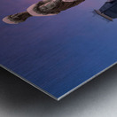 Mountaineer statue against Woodburn Hall tower Metal print