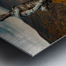 Mountaineer statue from WVU with fall leaves in West Virginia Impression metal