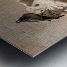 Detail of rain water spout in Dubrovnik old town Metal print