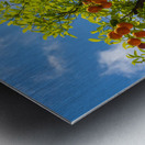 Oranges growing in courtyard of monastery Impression metal