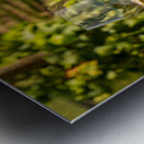 Glass of white wine in vineyard Metal print