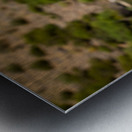 Glass of white wine by Douro river in Portugal Metal print