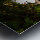 Thatched pub garden in Lustleigh in Devon Metal print